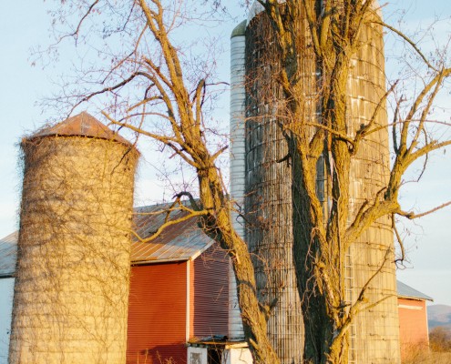 Farm Wedding Venue Near Harrisonburg