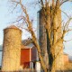 Farm Wedding Venue Near Harrisonburg